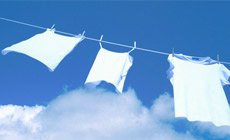 /uploads/image/2026/01/15/6030b17a57340e2b654aed686af0f9e2.jpg t01f13be6744a97ca48.jpg